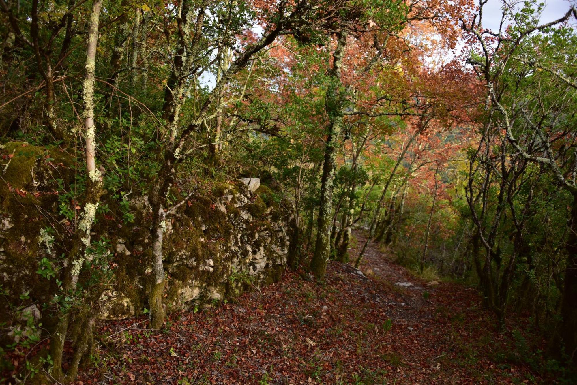 Rataboul Puylaroque Exterior foto
